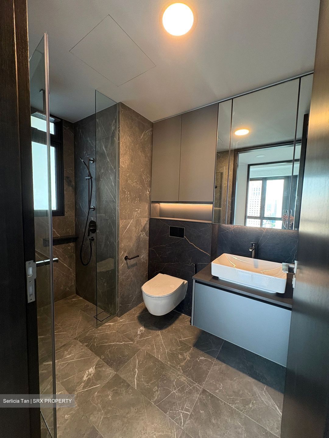 Irwell Hill Residences (D9), Apartment #452637831